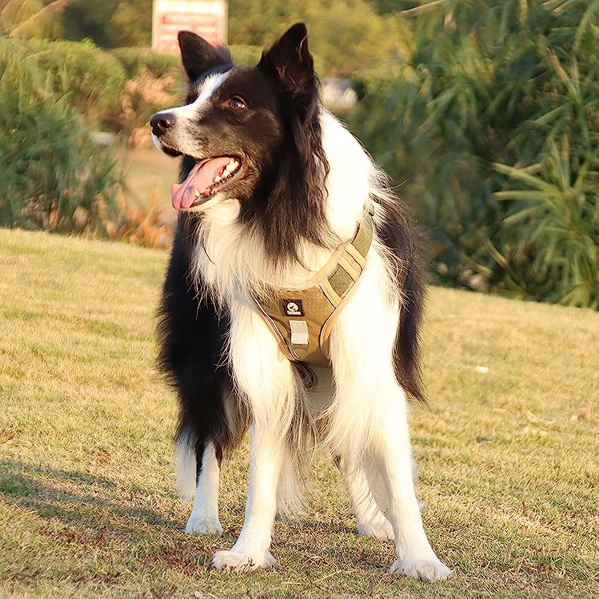 Köpek Göğüs Tasması Yansıtıcı Şeritli 51005989
