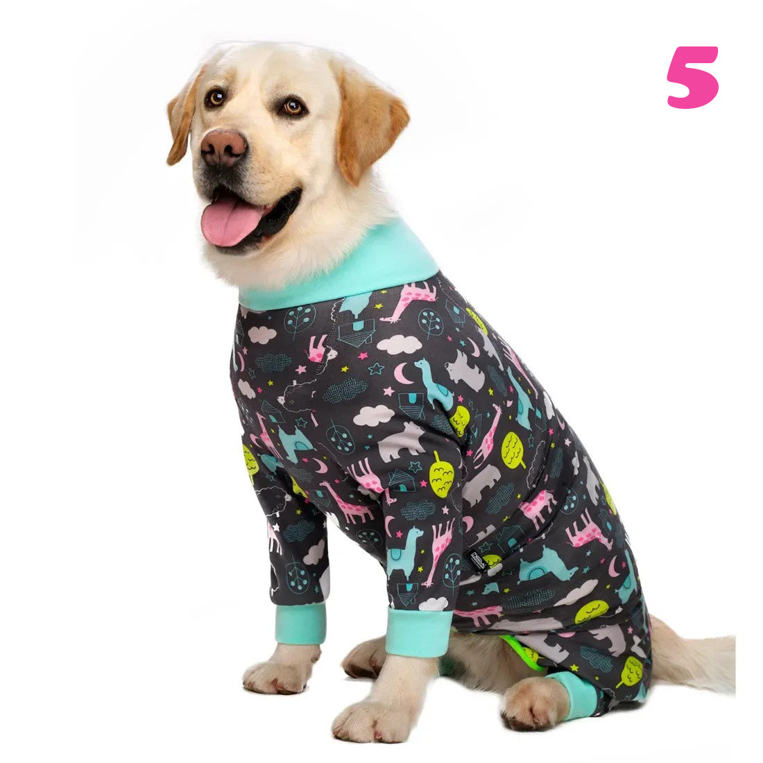 Köpek Pijama Kazak Tulum 53536