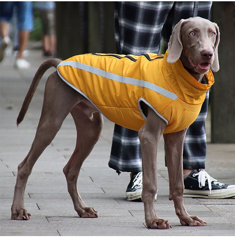 Köpek yağmurluk POLAR 22569102