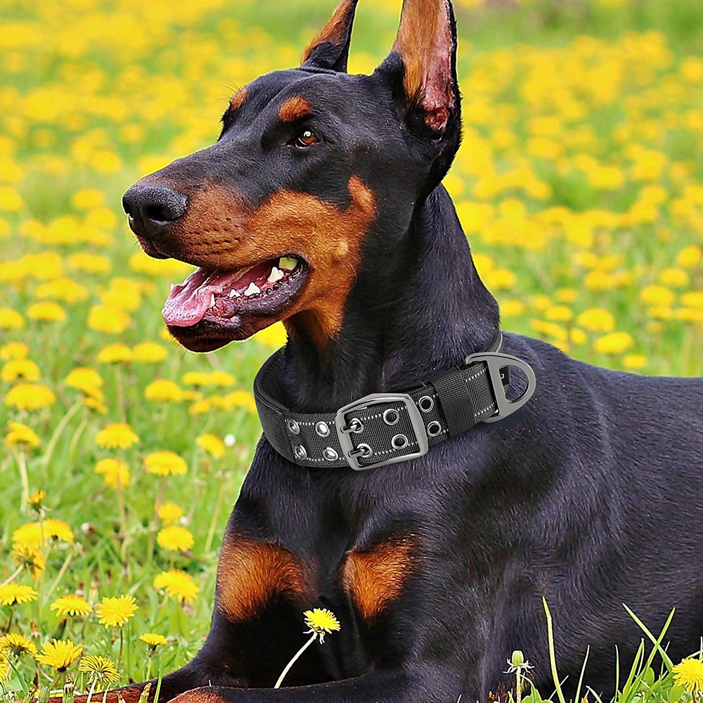 K9 Tasma Taktik Köpek Tasması 701722
