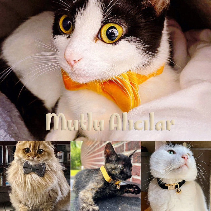 Kedi tasması Kadife İsimli Zilli 35938