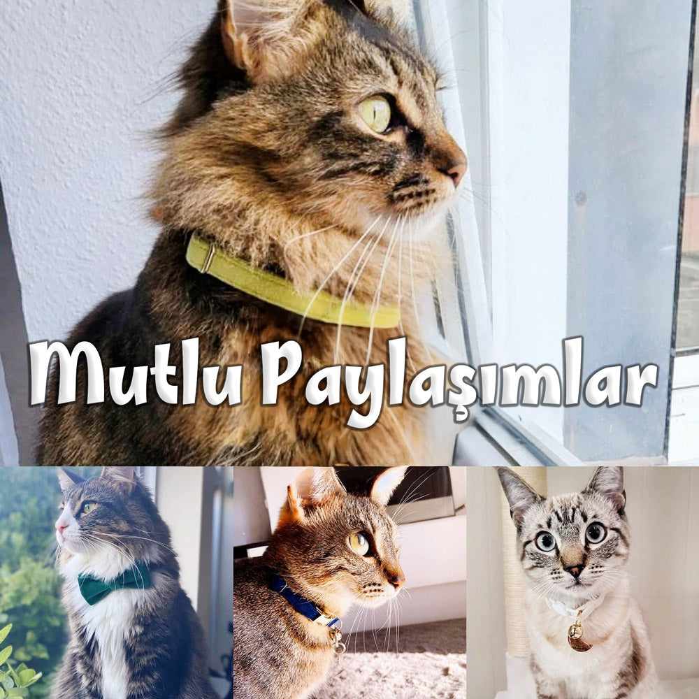 Kedi tasması Kadife İsimli Zilli 03640