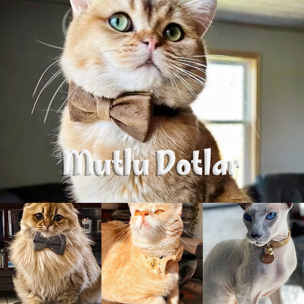 Kedi tasması Kadife İsimli Zilli 57548