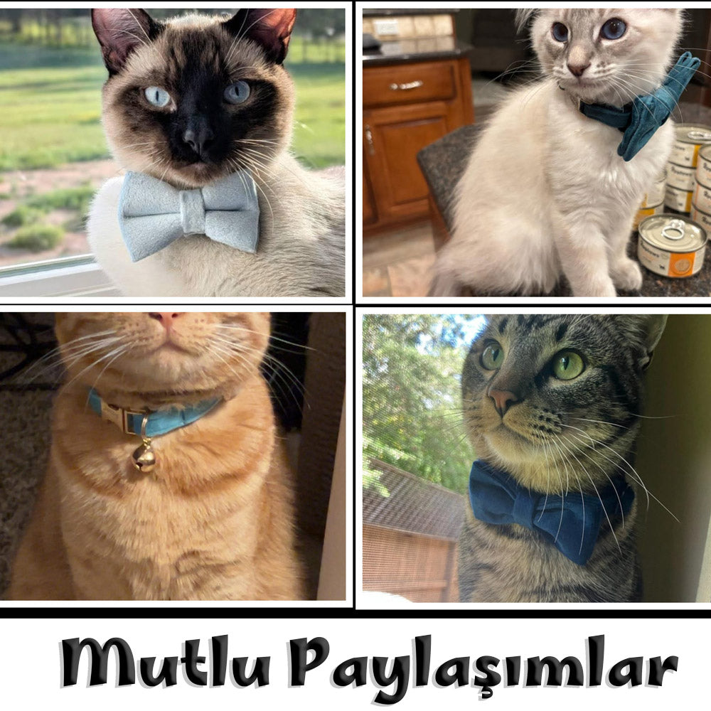 Kedi tasması Kadife İsimli Zilli 81166