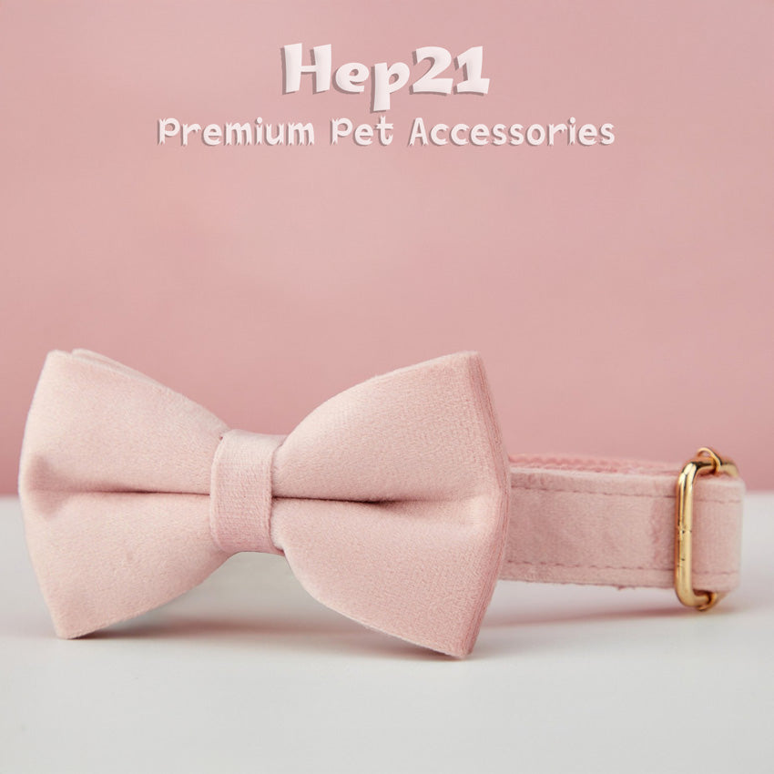 Köpek Boyun Tasması İsimli Açık Pembe Kadife 75044