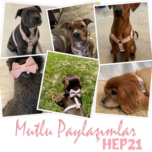 Köpek Boyun Tasması İsimli Açık Pembe Kadife 75044