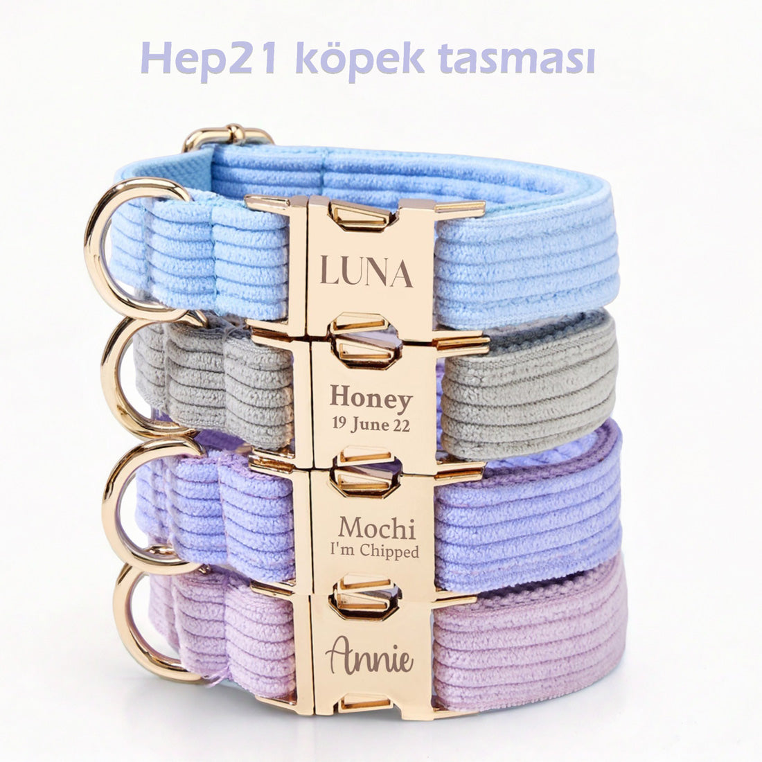 Köpek Boyun Tasması İsimli Fitilli Kadife 21952