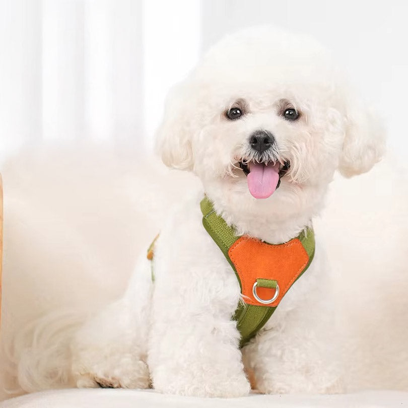 Köpek Göğüs Tasması Ayarlanabilir Nefes Alan 57146