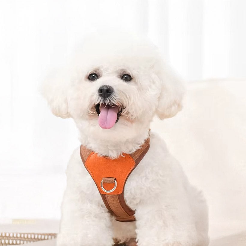 Köpek Göğüs Tasması Ayarlanabilir Nefes Alan 57146