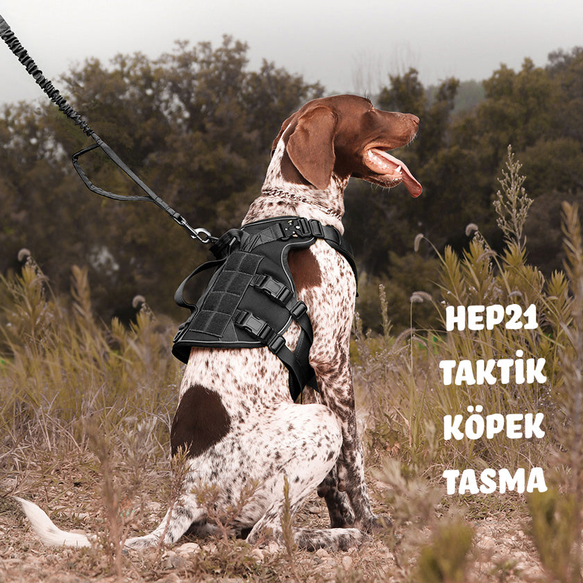 Köpek Göğüs Tasması K9 Tasarım