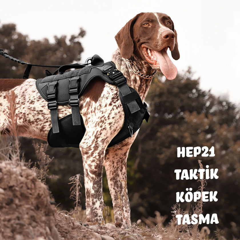 Köpek Göğüs Tasması K9 Tasarım