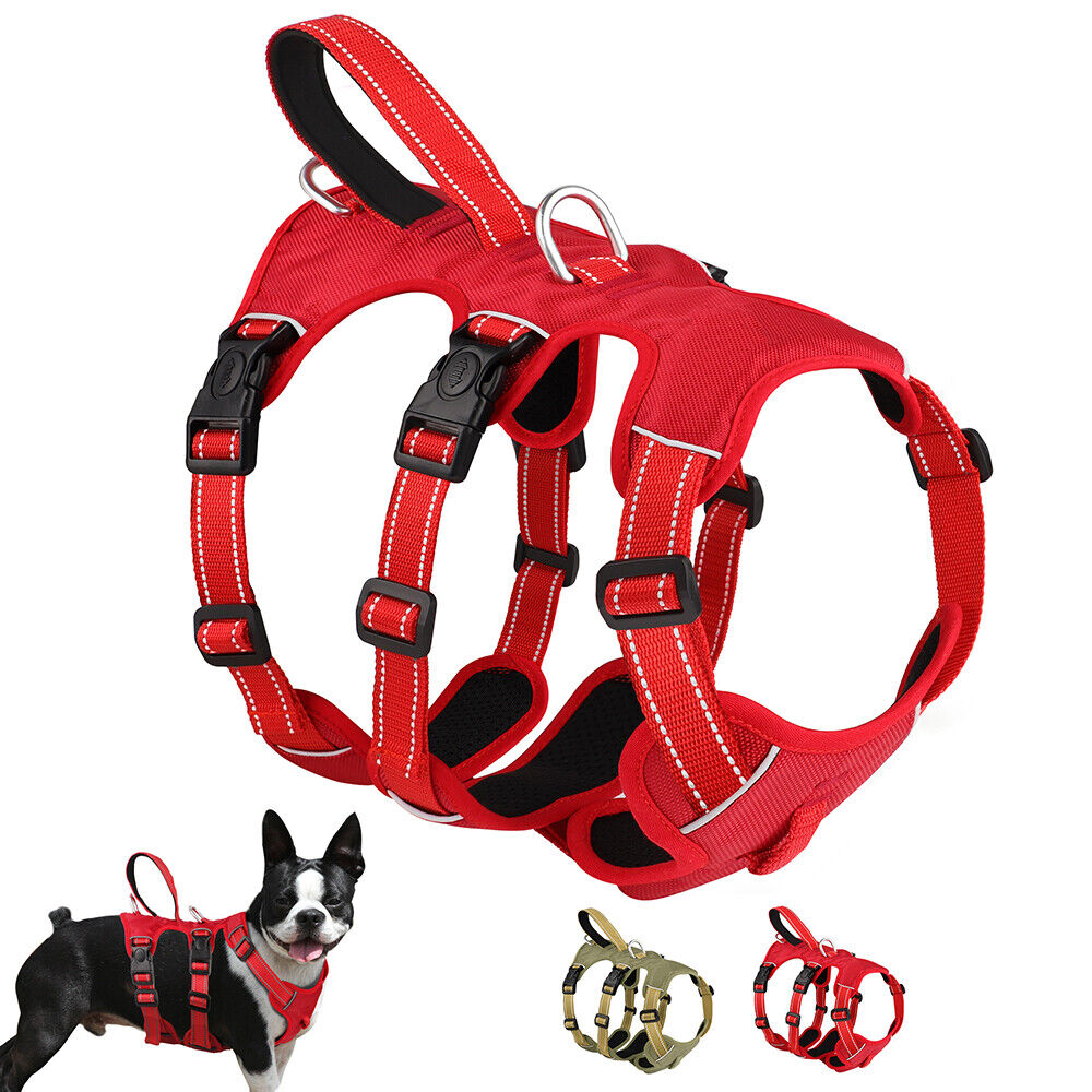 Köpek Göğüs Tasması Yansıtıcı Güçlü Kontrol Taktik Gövde Tasması 44073950