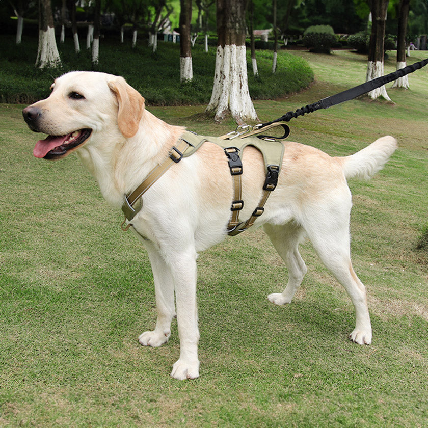 Köpek Göğüs Tasması Yansıtıcı Güçlü Kontrol Taktik Gövde Tasması 44073950