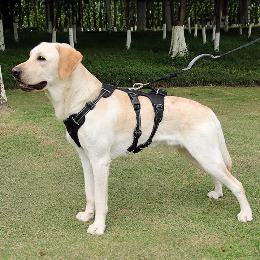 Köpek Göğüs Tasması Yansıtıcı Güçlü Kontrol Taktik Gövde Tasması 44073950