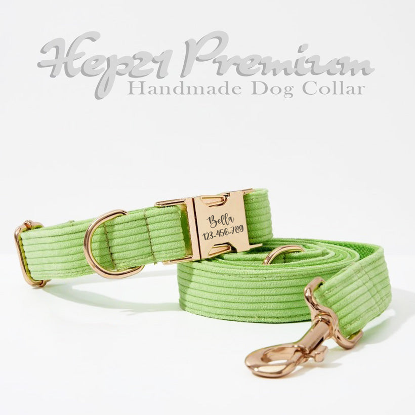 Köpek Boyun Tasması İsimli Açık Yeşil 446519