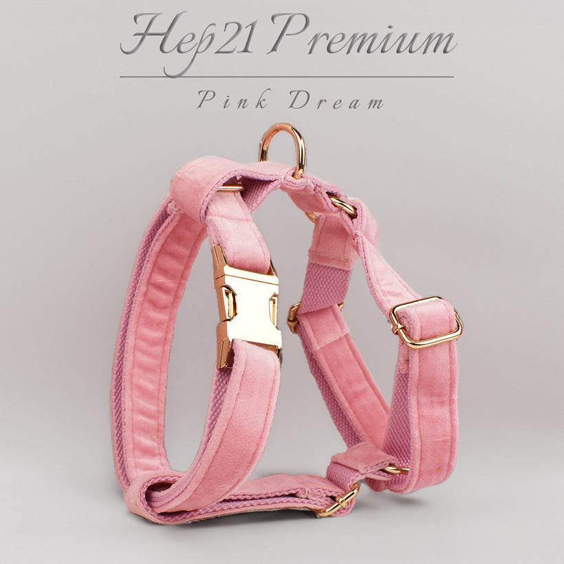 Köpek Boyun Tasması İsimli Pembe Kadife 240723