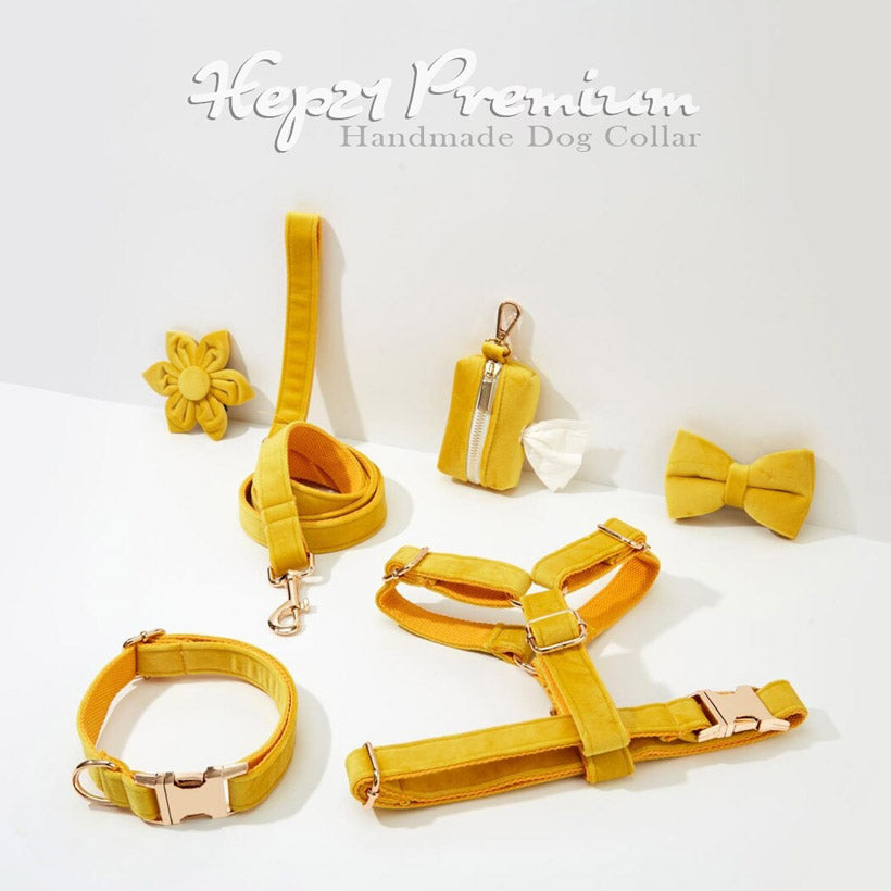 Köpek Boyun Tasması İsimli Sarı Kadife 141086