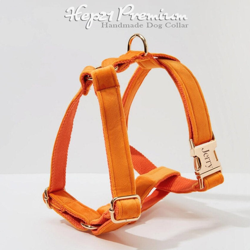 Köpek Boyun Tasması İsimli Turuncu Kadife 865315