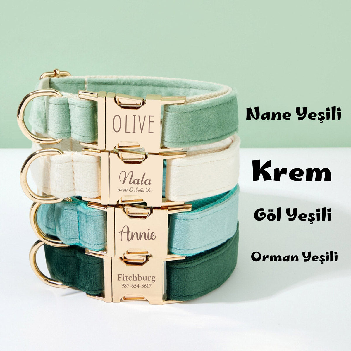 Köpek Boyun Tasması İsimli Kadife 68702