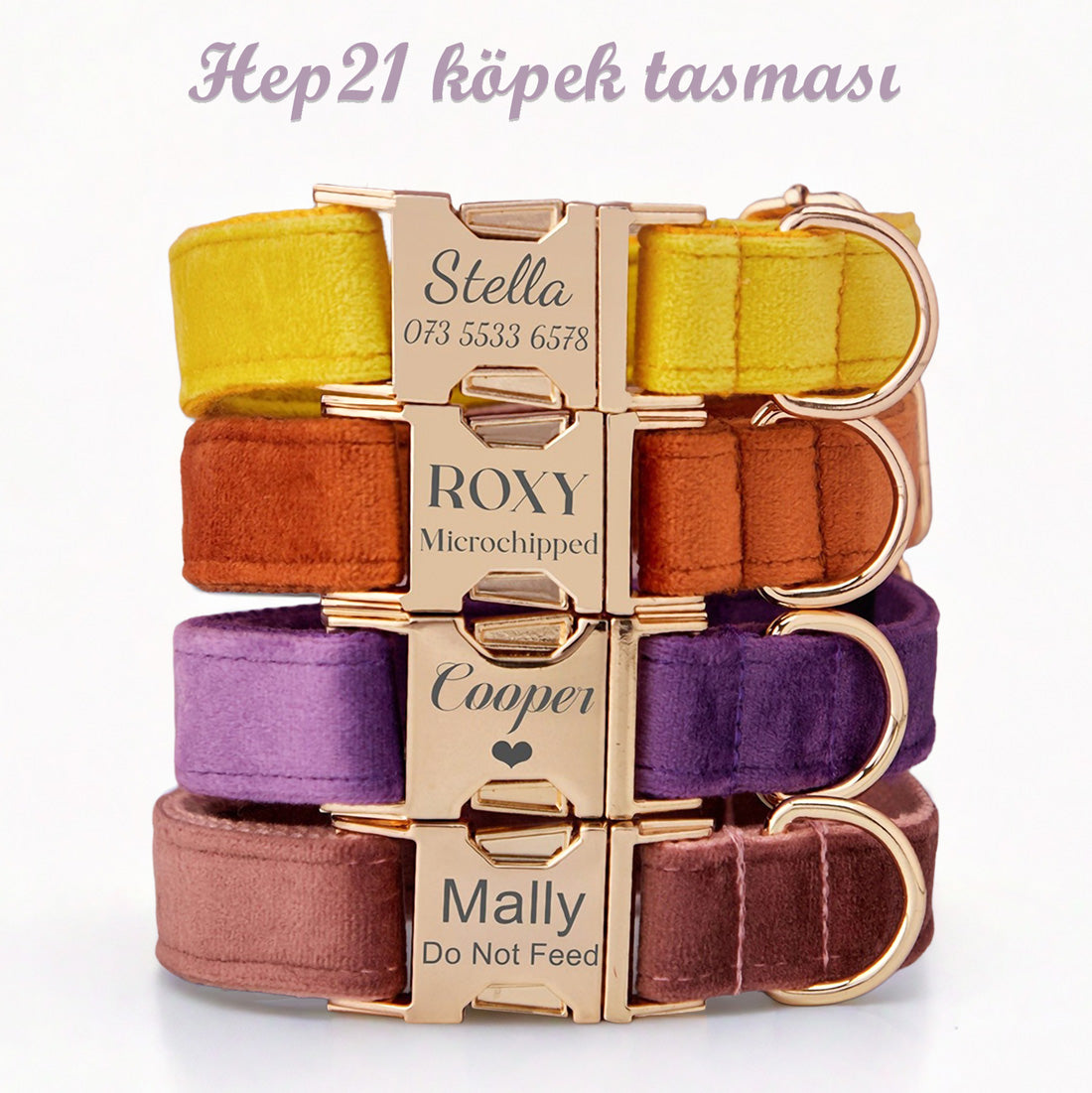 Köpek Boyun Tasması İsimli Kadife 14470