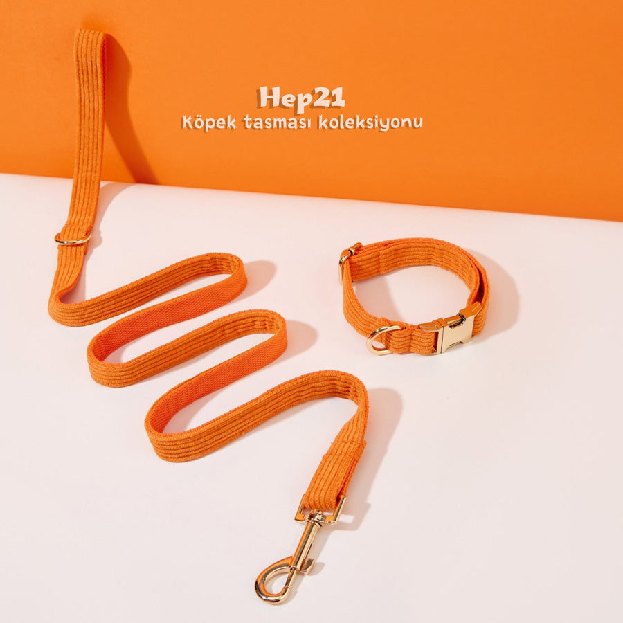 Köpek Boyun Tasması İsimli Turuncu Kadife 541506