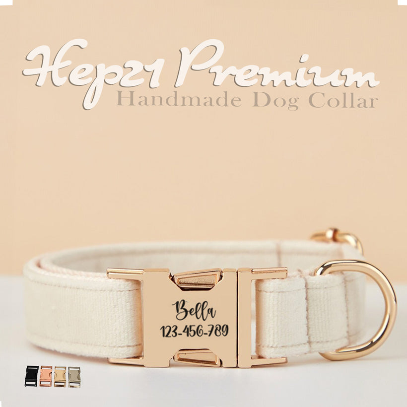 köpek boyun tasması