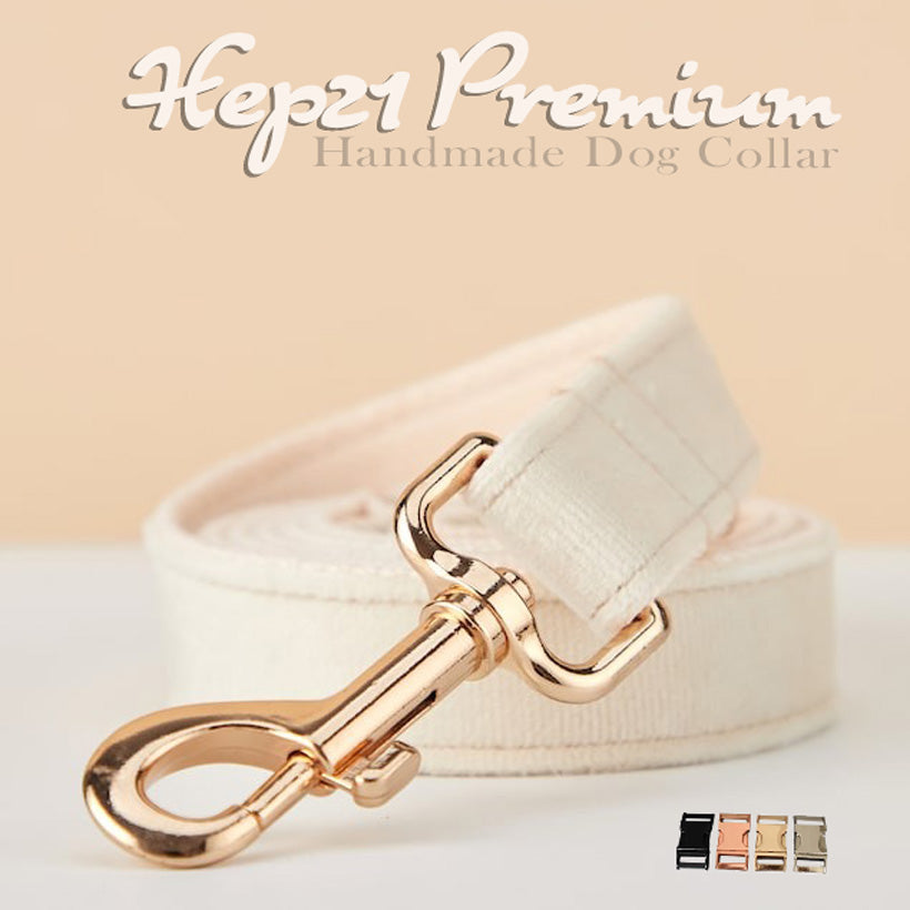 köpek gezdirme ipi