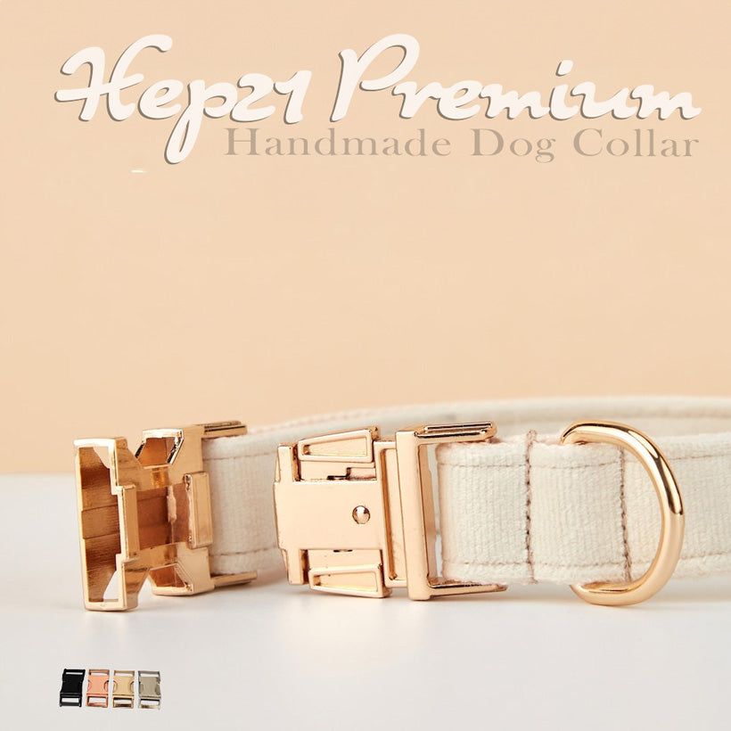 köpek tasması