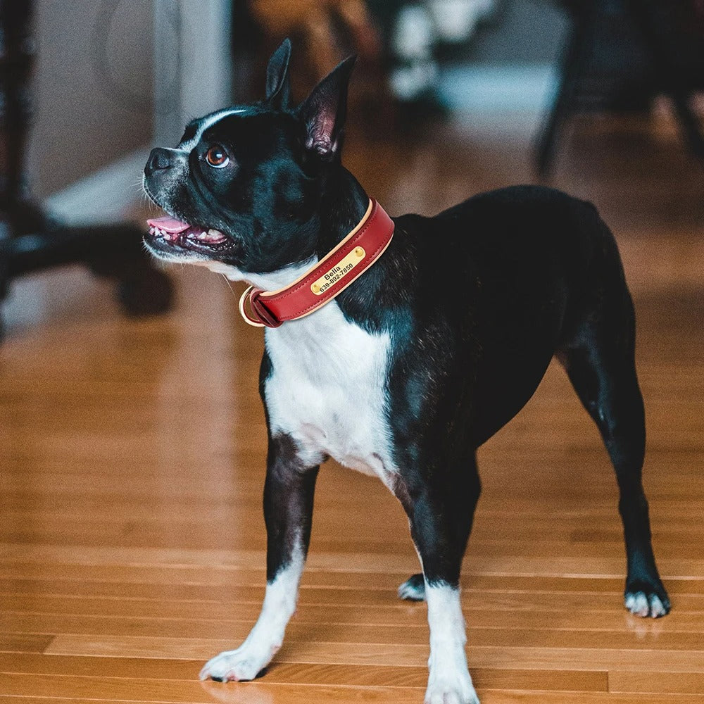 Köpek Tasması isimli Deri Tasma 72604