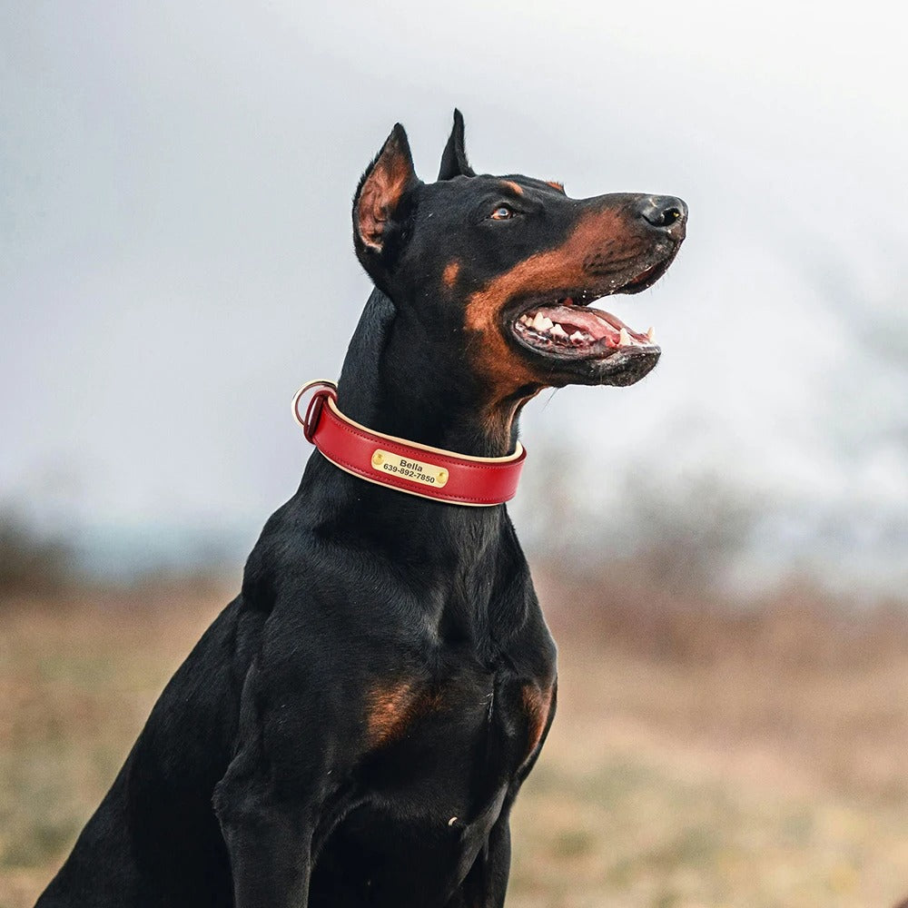 Köpek Tasması isimli Deri Tasma 72604