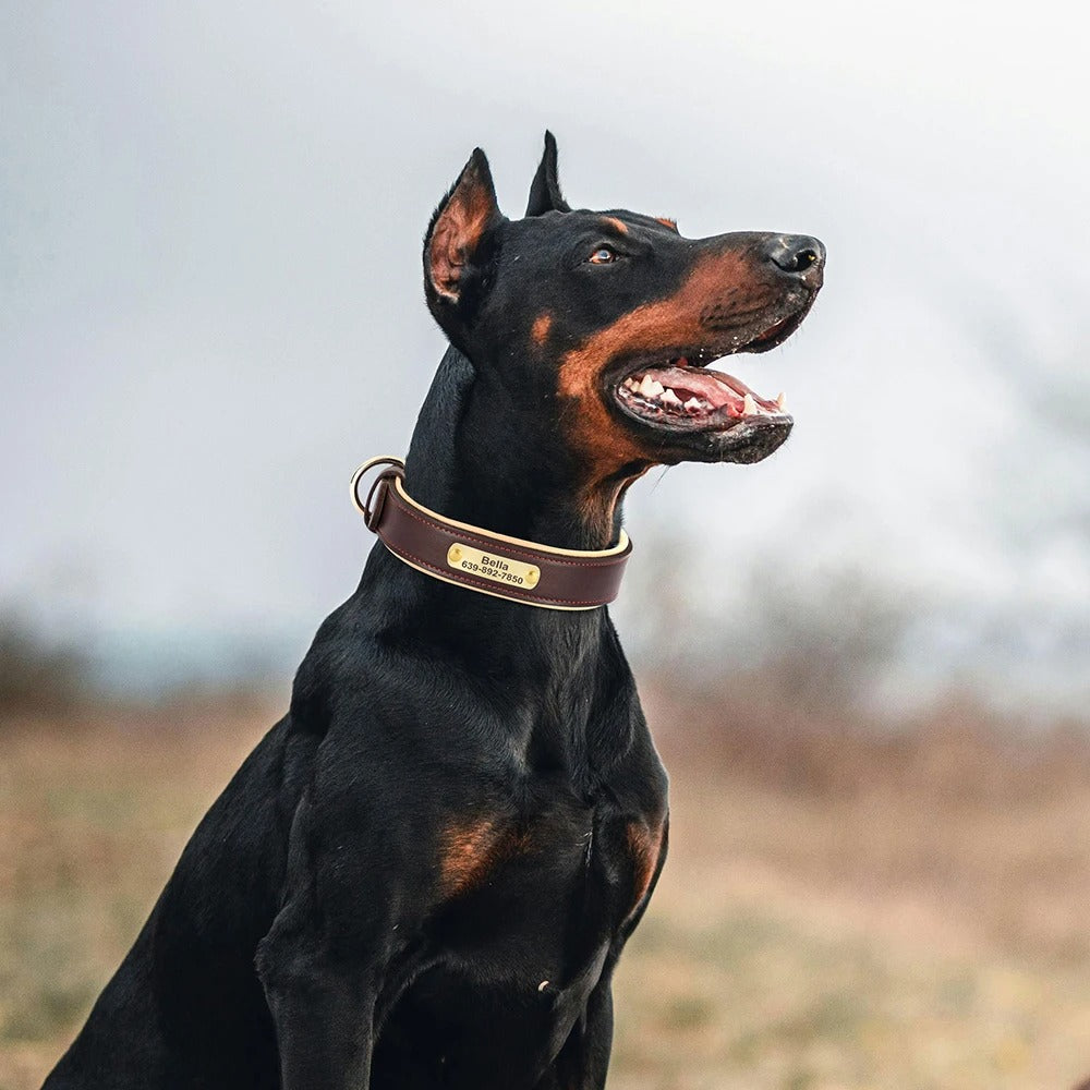 Köpek Tasması isimli Deri Tasma 72604