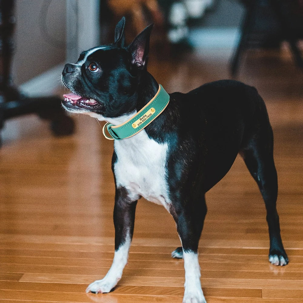 Köpek Tasması isimli Deri Tasma 72604