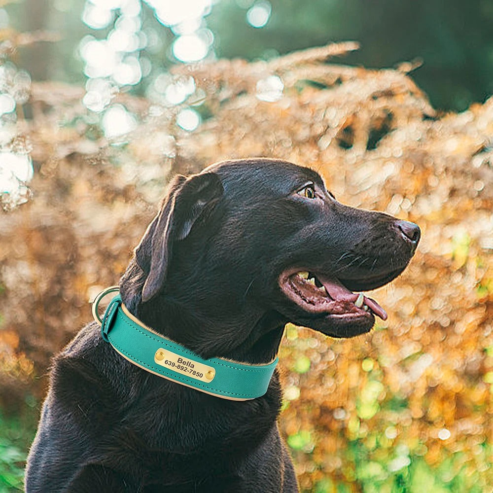 Köpek Tasması isimli Deri Tasma 72604