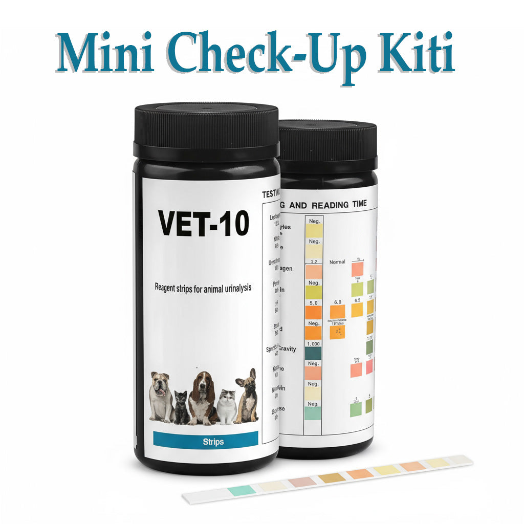 Mini Check-Up Kiti (100’lü Paket) 34219