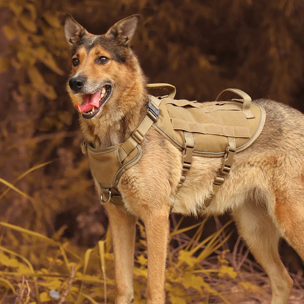 Köpek Göğüs Tasması Taktik K9 037990