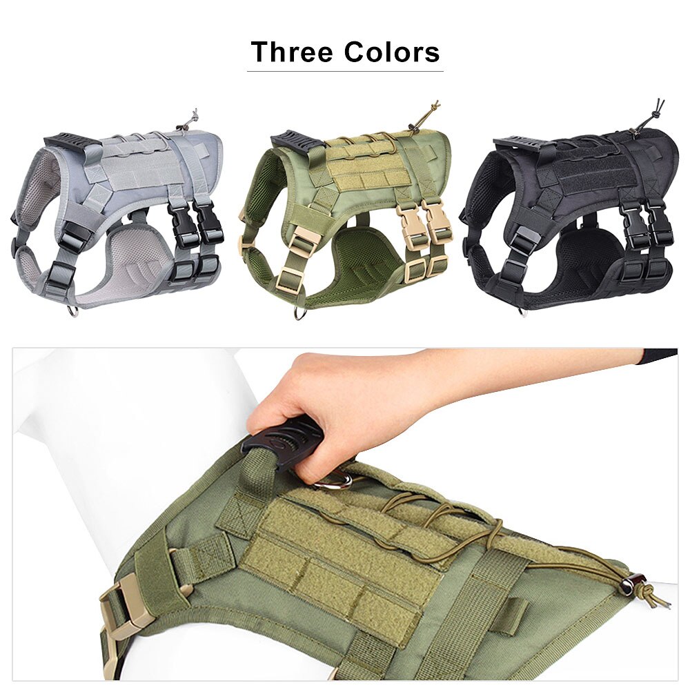 Köpek Göğüs Tasması