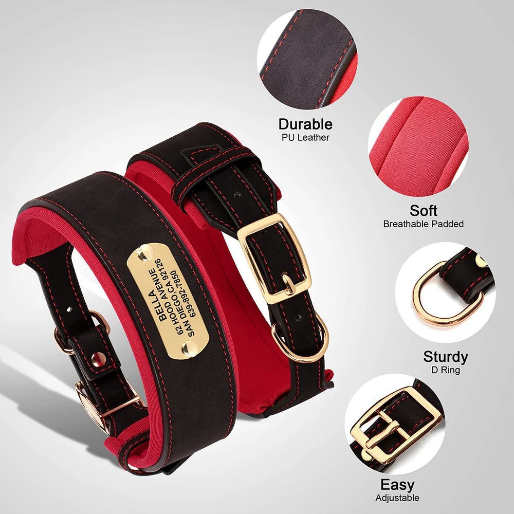 İsimli Köpek Tasması Yastıklı Geniş Boyun Tasması