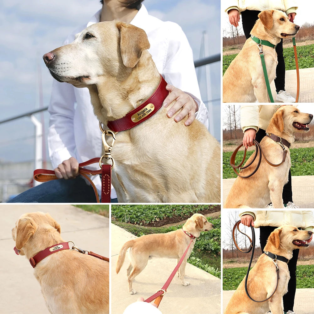 Deri Köpek Tasması SET 51118901
