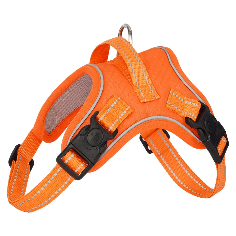 Köpek Göğüs Tasması 06725