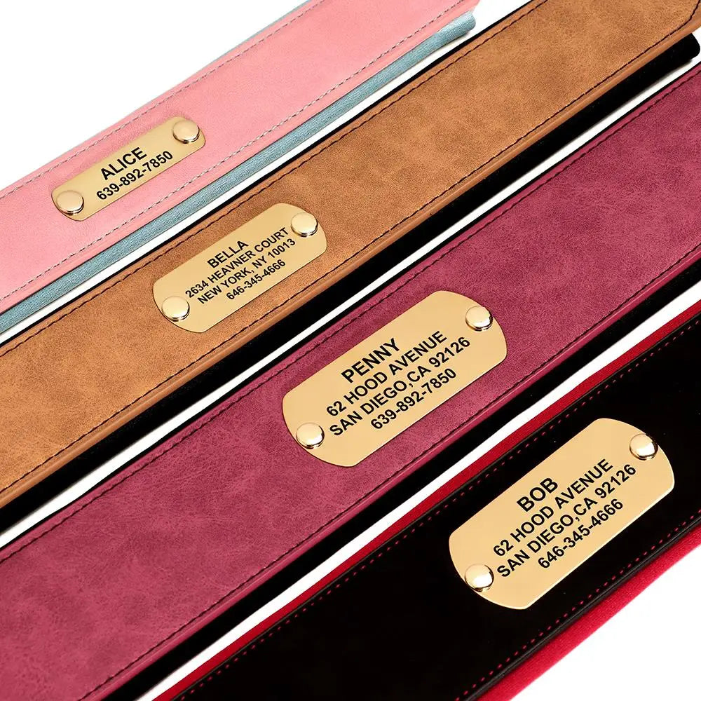 İsimli Köpek Tasma Yastıklı Geniş Boyun Tasması