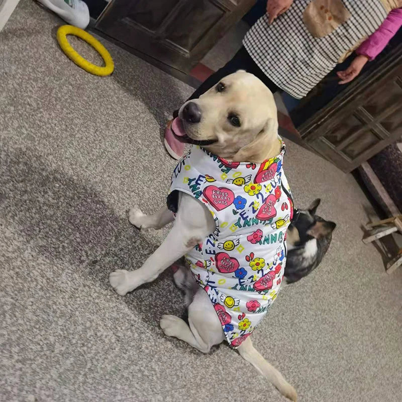 Köpek yağmurluk ceket mont 98106