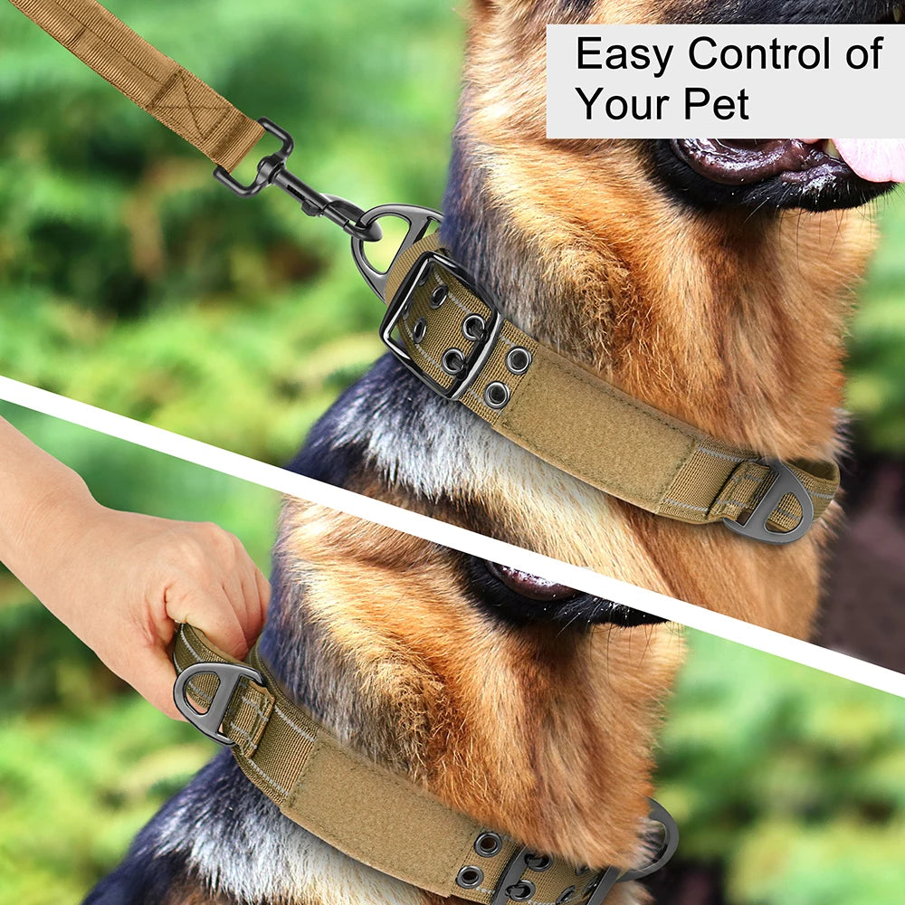Taktik Köpek Eğitim Tasması 699699