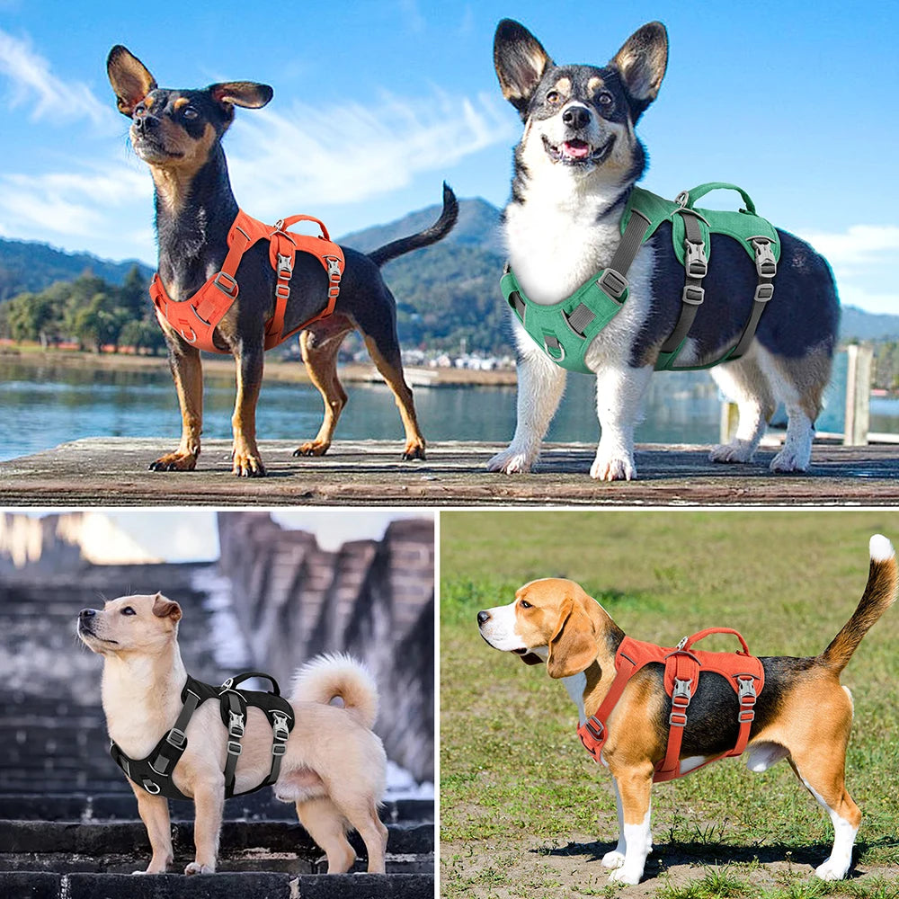 Köpek Göğüs Tasması Reflective Durable Handle 50650