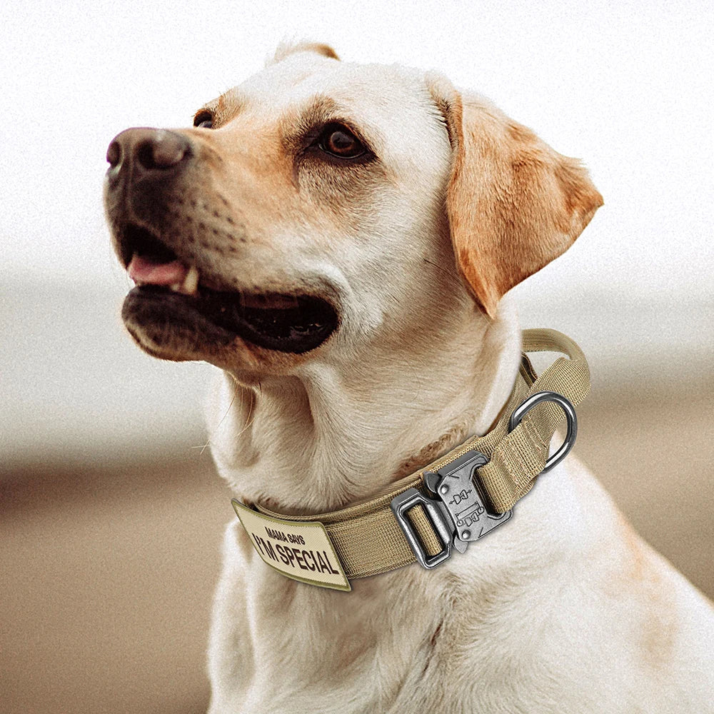 Taktik Köpek Tasması K9 Tasma 16518