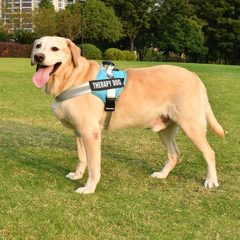 Reflektörlü ve Ayarlanabilir Köpek Göğüs Tasması 77642