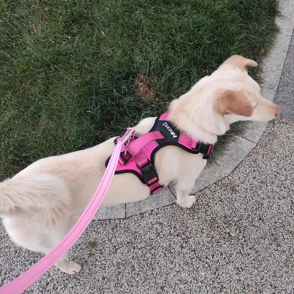 Köpek Göğüs Tasması 07068