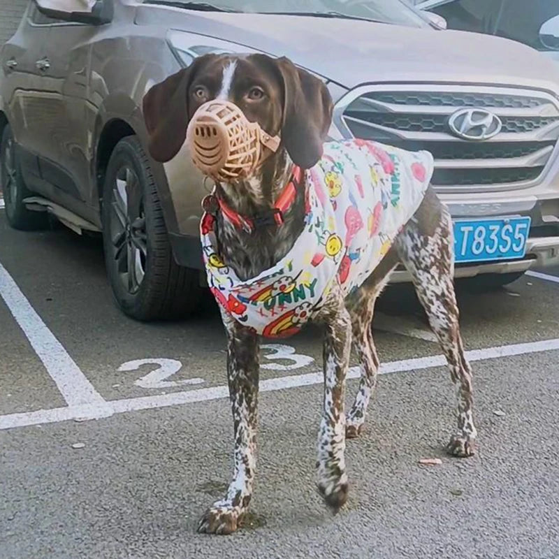 Köpek yağmurluk ceket mont 98106