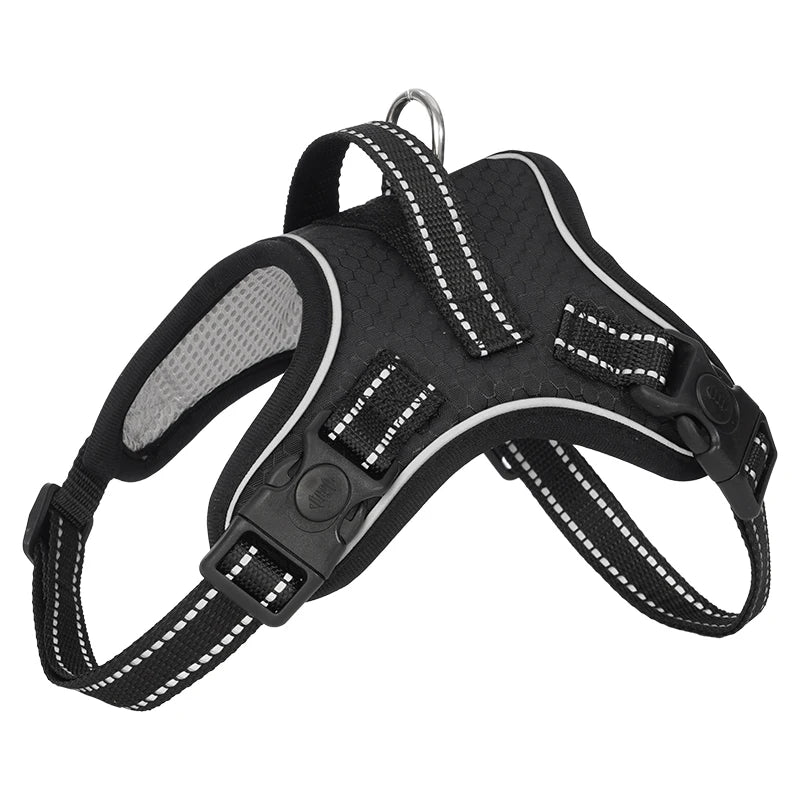 Köpek Göğüs Tasması 06725