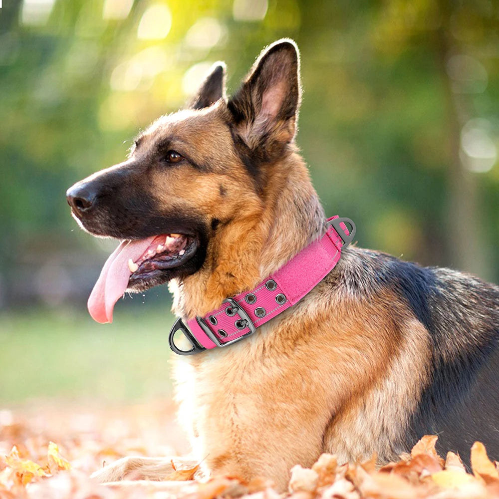 Taktik Köpek Eğitim Tasması 699699