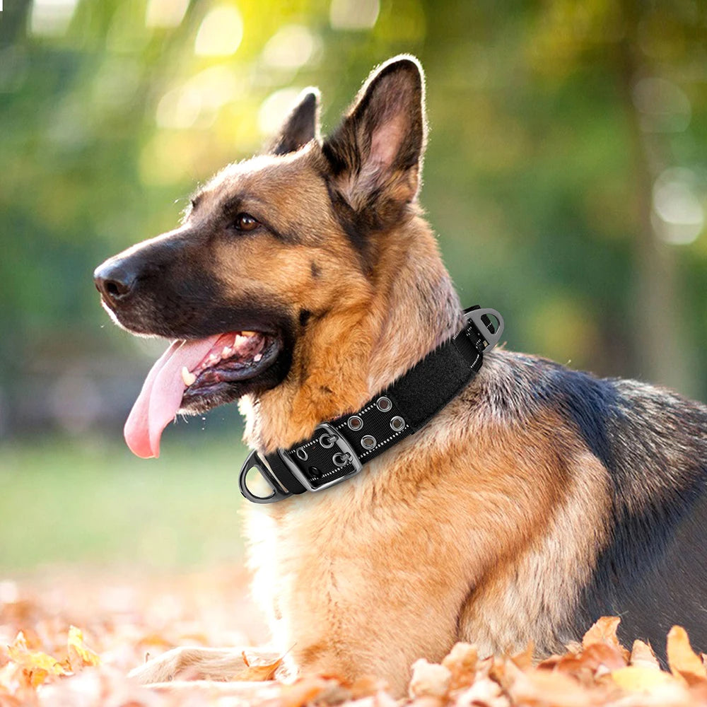 Taktik Köpek Eğitim Tasması 699699